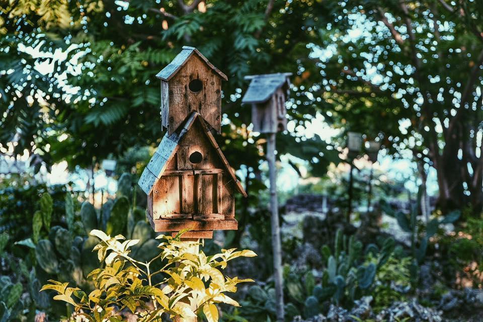 Birdland Beach Club Bolinao Екстериор снимка